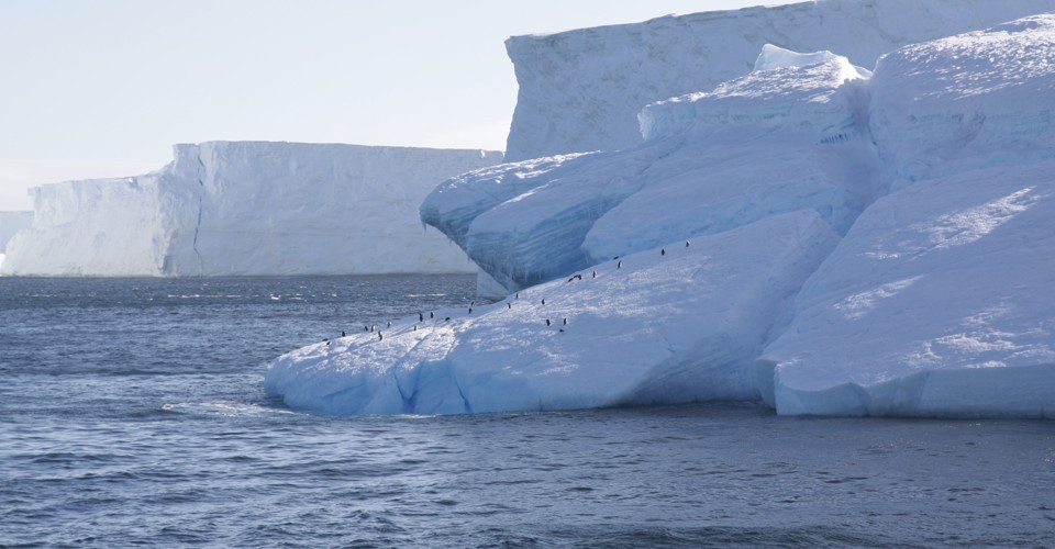 Sipping Scotch Chilled by an Iceberg - The Atlantic