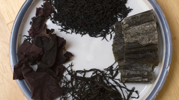 A few types of edible seaweed displayed on a plate