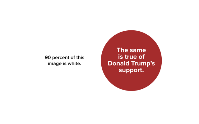 90 percent of this image is white. The same is true of Donald Trump's support.