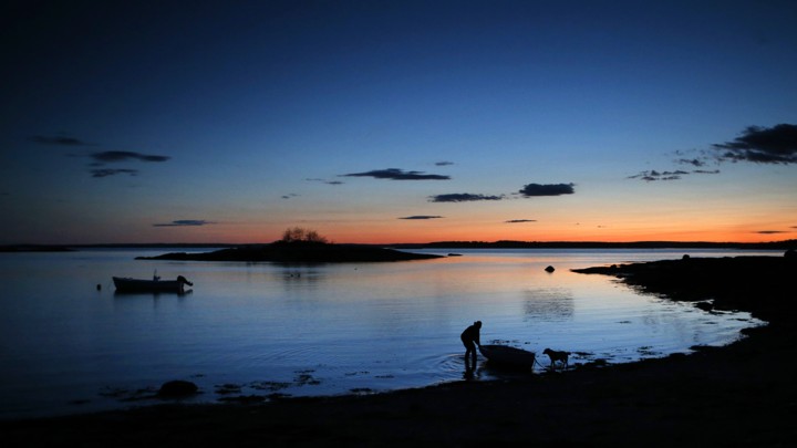 In the evening twilight, Diane Cowan, a marine biologist who has been studying lobster behavior and ecology for 30 years, ties up her skiff on the shoreline of Friendship Long Island, Maine.