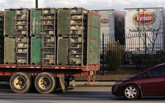 The attack targeted a Tyson meatpacking plant community.