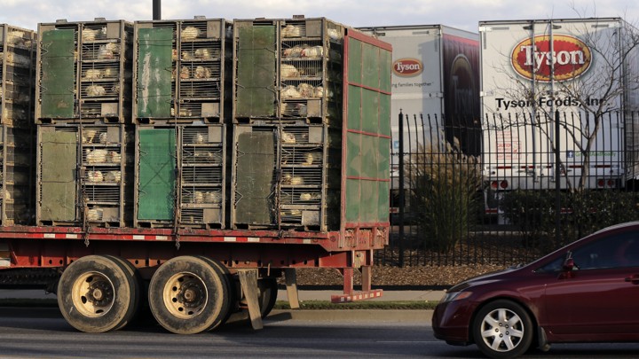 The attack targeted a Tyson meatpacking plant community.