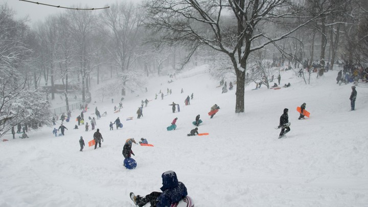 A sea of children sleds down a snowy hill.