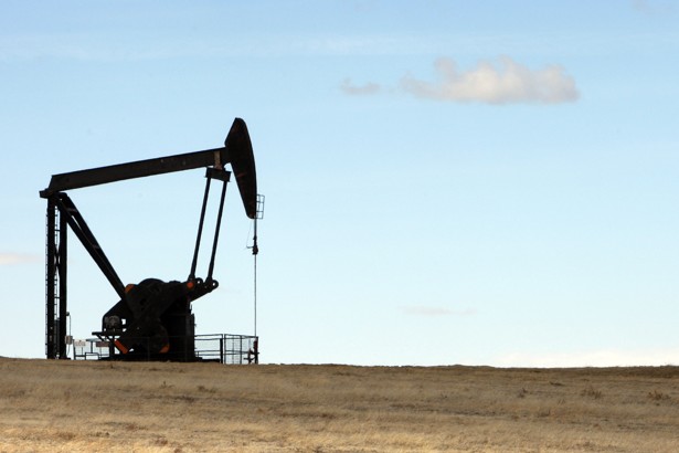 A crane-like machine drills into a field for oil