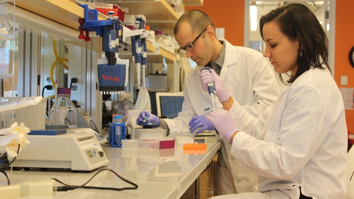 Yaniv Erlich and Dina Zielinski at work