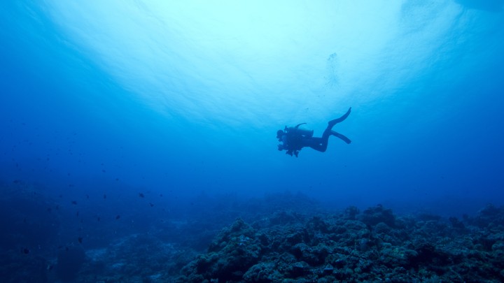 A diver swims over a rocky sea floor.