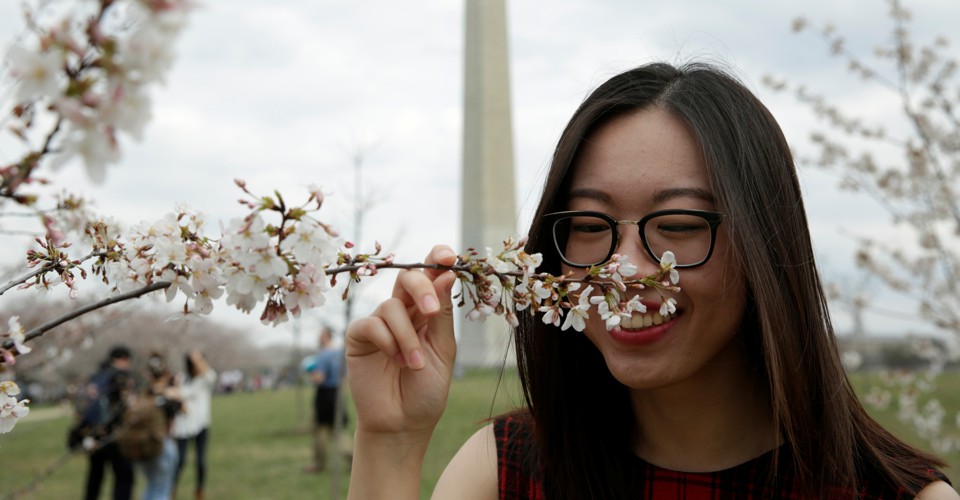 the-myth-that-humans-have-poor-smell-is-nonscents-the-atlantic