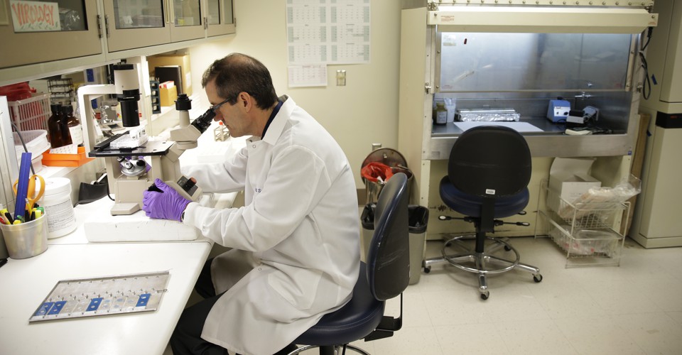 Can Scientists Help End the Teacher Shortage? - The Atlantic