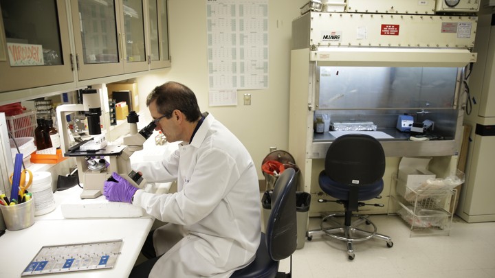 A man in a lab coat looks through the lens of a microscope