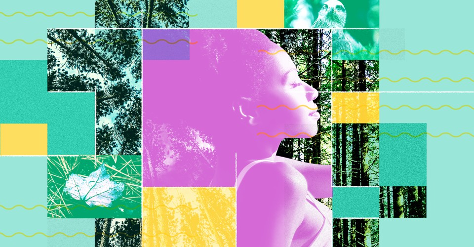 How Forest Bathing Can Help With Stress The Atlantic