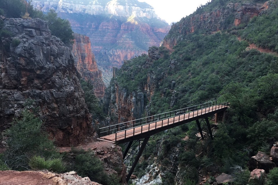 Watch How To Survive A Plague Online (2017)