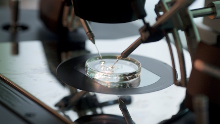 A petri dish under a microscope is injected with sperm.