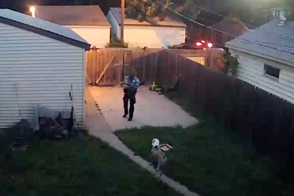 What Dog Shootings Reveal About American Policing The Atlantic