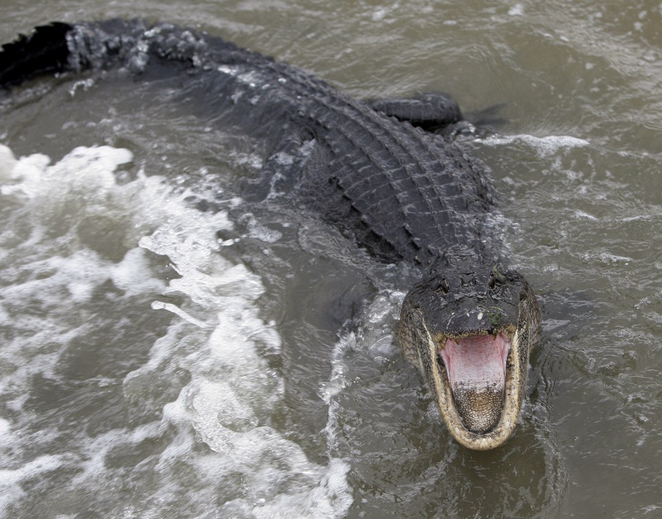 What 35 Inches of Rain Dredges Up The Atlantic