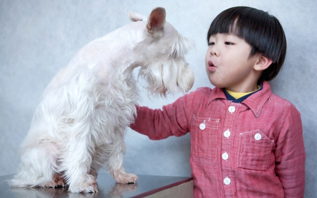 A woman talks to a dog.