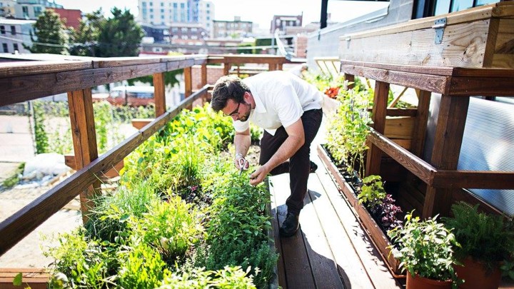 Jeremiah Langhorne in a garden
