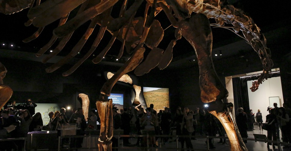 biggest dinosaur museum in the world