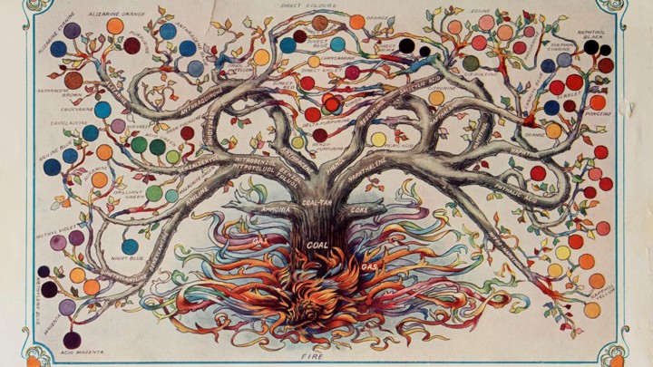 Chemical tree describing the range of colors derived from coal-tar
