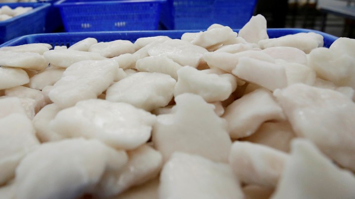 Frozen fish fillets