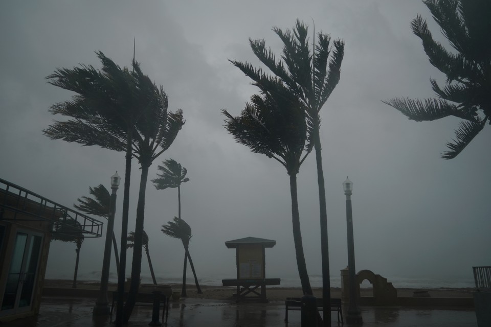 Hurricane Irma batters palm trees and a lifeguard hut in Hollywood, Florida