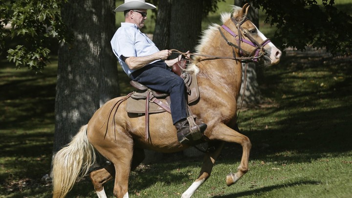 Roy Moore