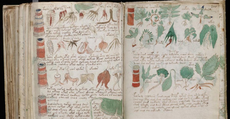 ancient voynich manuscript translation