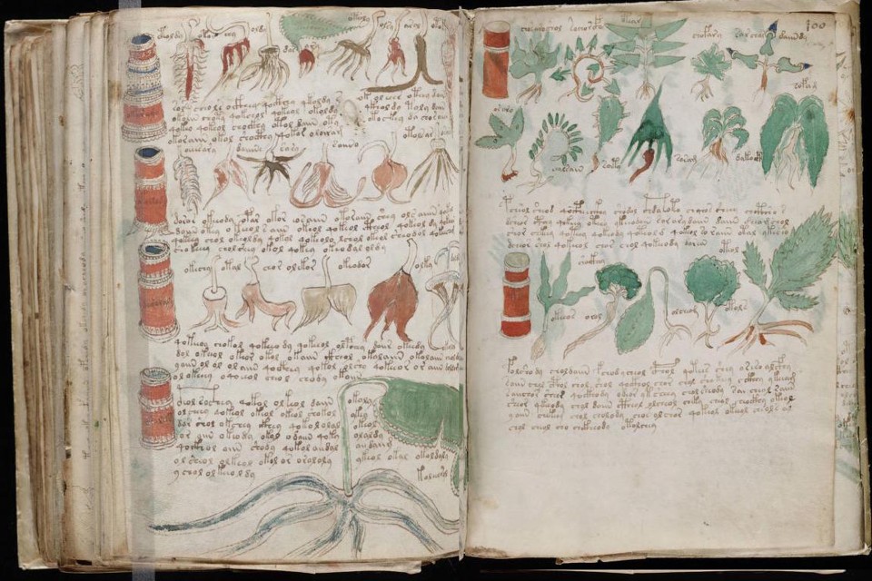 Image result for voynich manuscript
