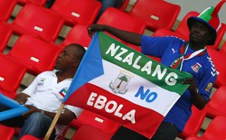 A fan holds an Equatorial Guinea flag with an anti-Ebola message at the African Cup of Nations. 