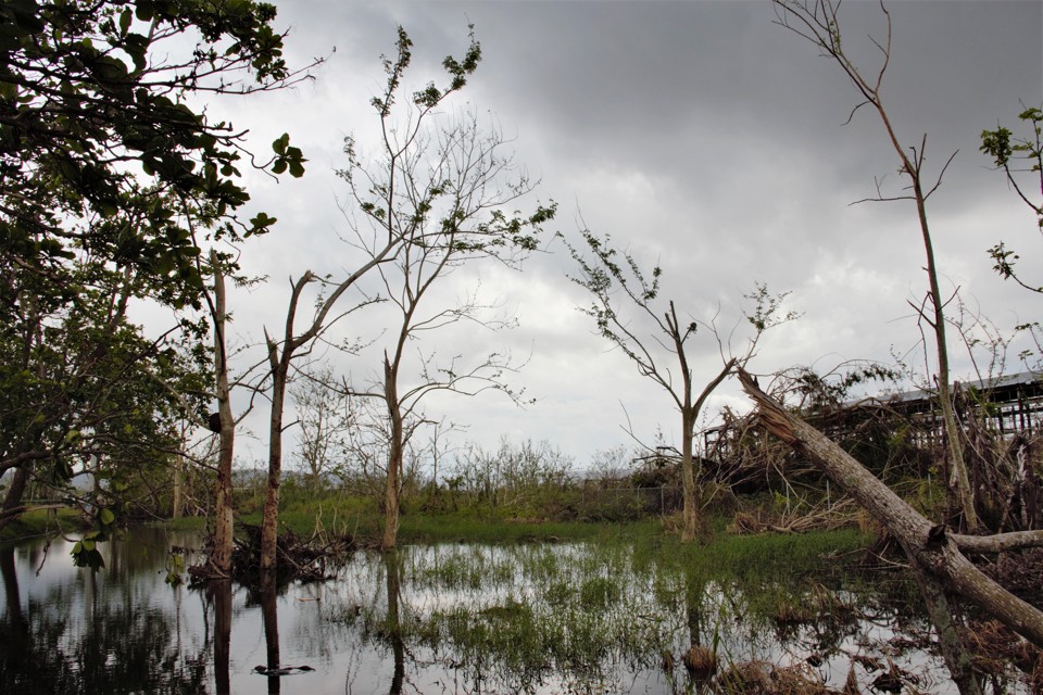 puerto-rico-s-environmental-catastrophe-job-one-for-humanity