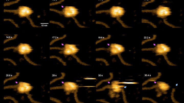 Frames from a video of a large ball-like shape breaking a string-like shape