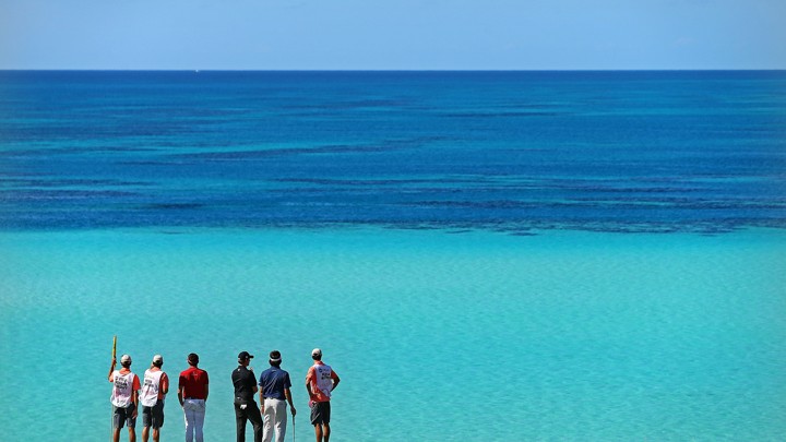 Professional golfers and their caddies study the view at a course in Bermuda.