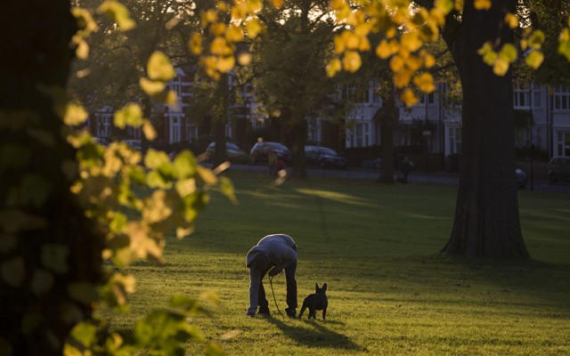 A person stoops to pick up their dog's waste in a park