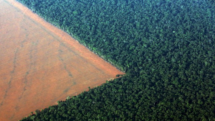 Deforested land in Brazil