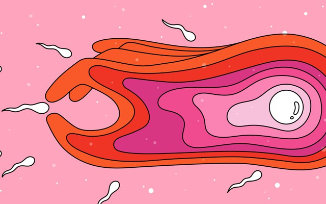 An illustration of an egg "picking" a sperm with fingerlike appendages