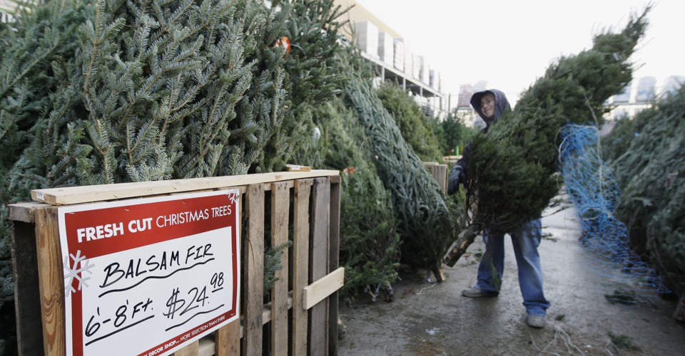 The ChristmasTree Shortage Could Last for Years The Atlantic