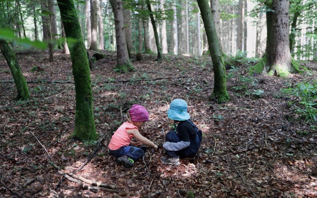 Two kids play in a forest. 
