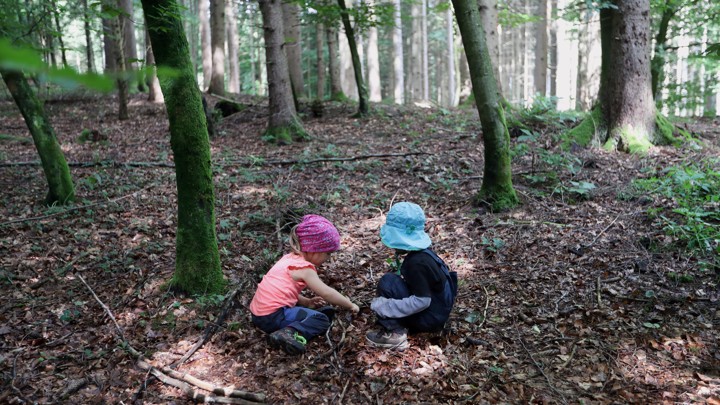 Two kids play in a forest.