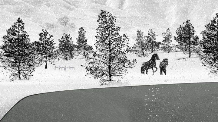 A still from Abbas Kiarostami's film '24 Frames'