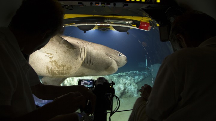 Bbc planet earth oceans study guide Bbc planet earth oceans study guide