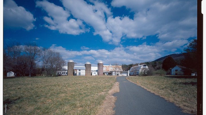 A road leading to a dairy farm