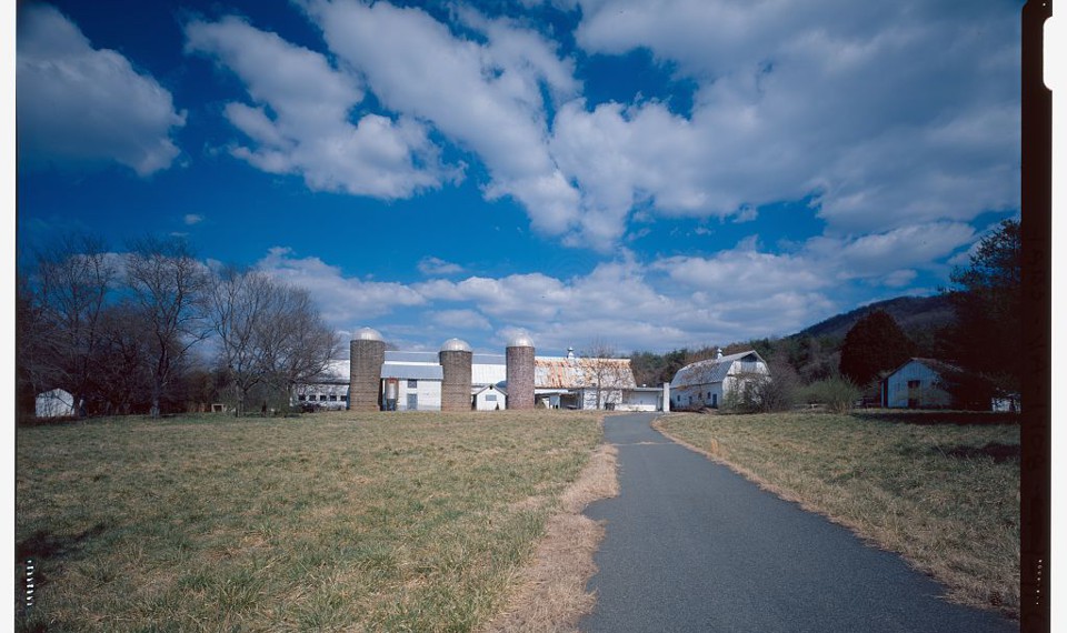 A road leading to a dairy farm