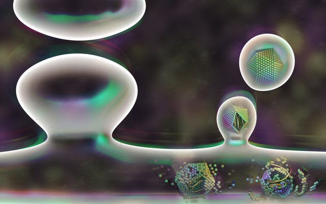 Virus-like shells budding off from one neuron and moving to another. 