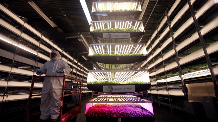 A worker rides a lift past stacks of vertical farming beds with LED lights