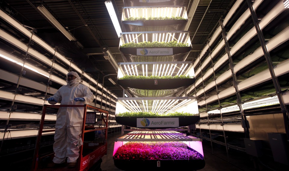 A worker rides a lift past stacks of vertical farming beds with LED lights