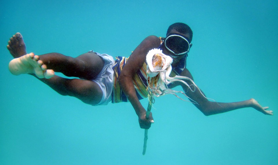 Hamissi Usi swims with an octopus on Pemba Island, Tanzania, in 2010.