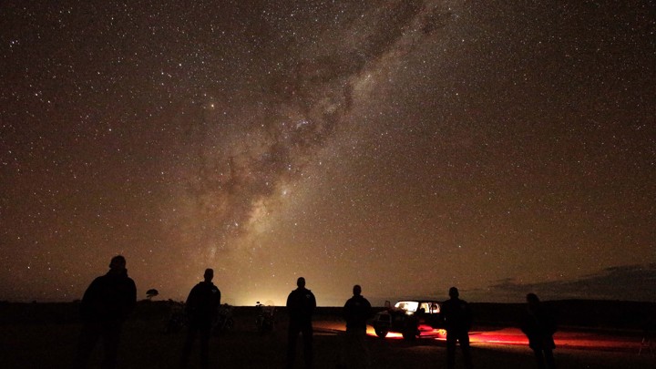 People looking up at the night sky