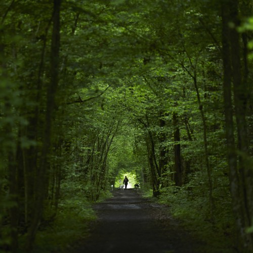 A conversation with jamie holmes, author of nonsense, about humans ... Prolux evolution prezzi