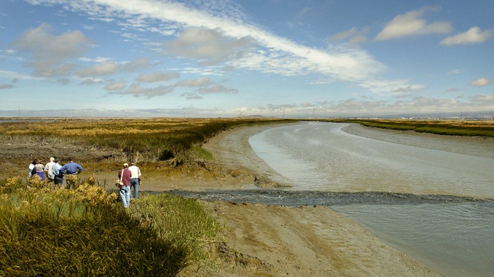 Researchers stand near water from a former industrial salt pond as it flows into the San Francisco Bay