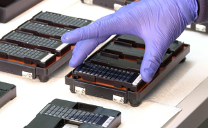 A gloved hand manipulates an electronic chip.