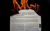 The abstract of a scientific paper engulfed in flames